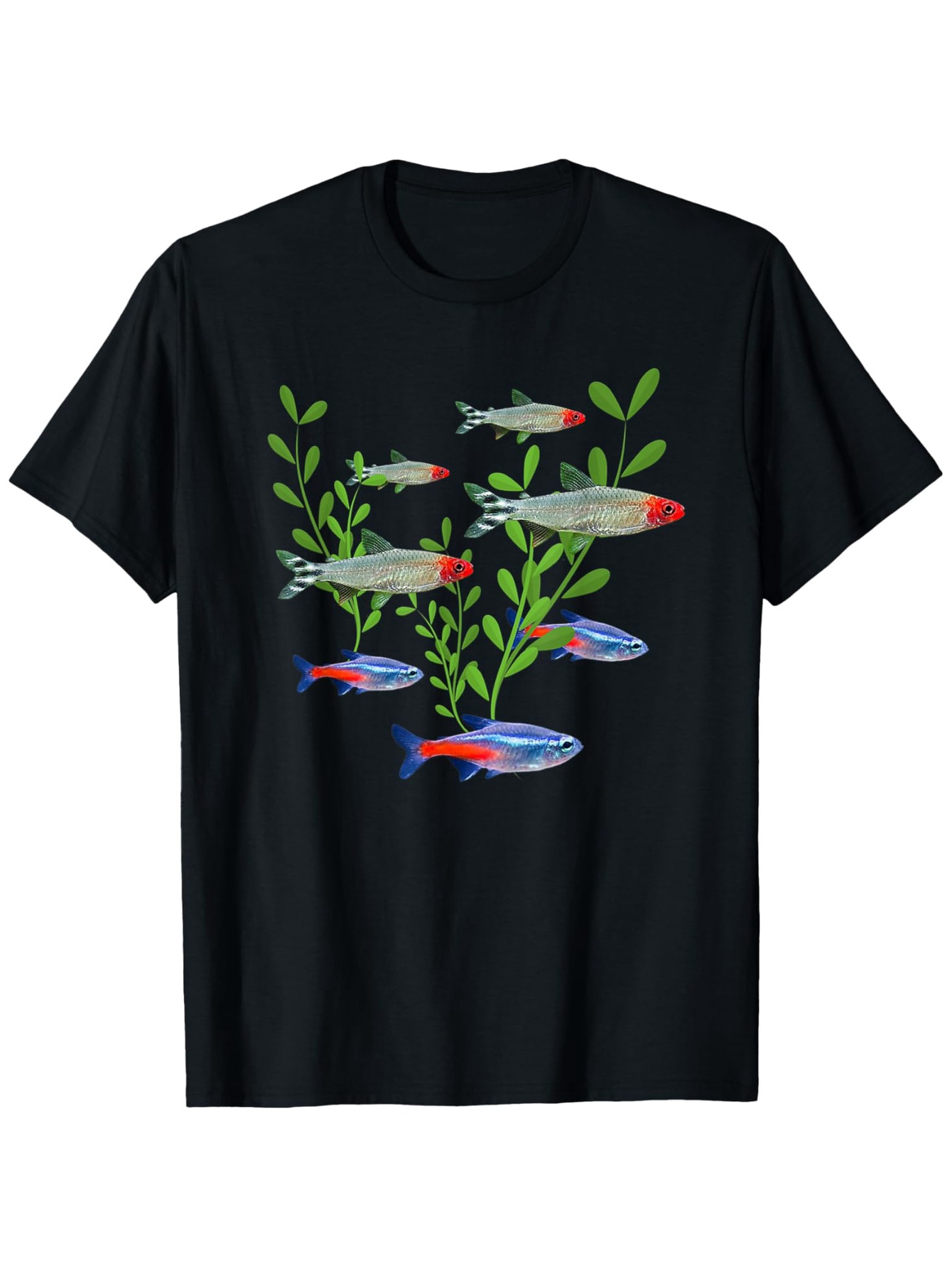 Tetra Fish In Aquarium - Men's Neon & Rummy Nose Tetras