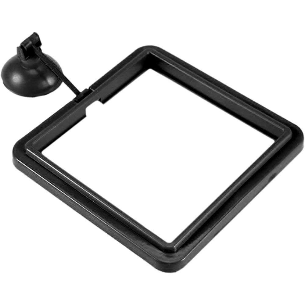 Tetra Fish In Aquarium - Fish Food Feeding Ring Aquarium Floating