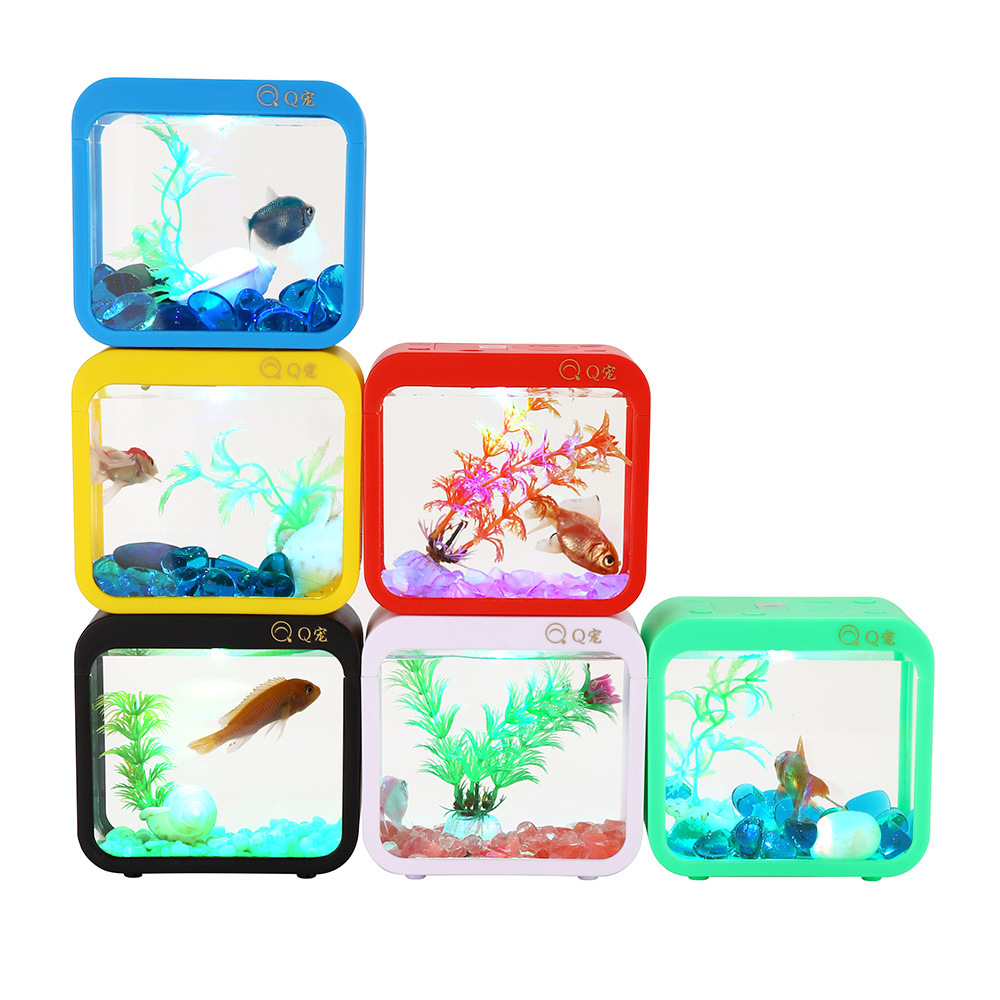 Colorful Creative Betta Box Wi - Aquarium Fish Game recension och pris