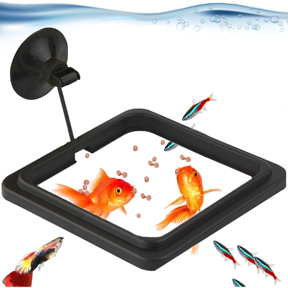 Fish Food Feeding Ring Aquariu - Tetra Fish In Aquarium recension och pris