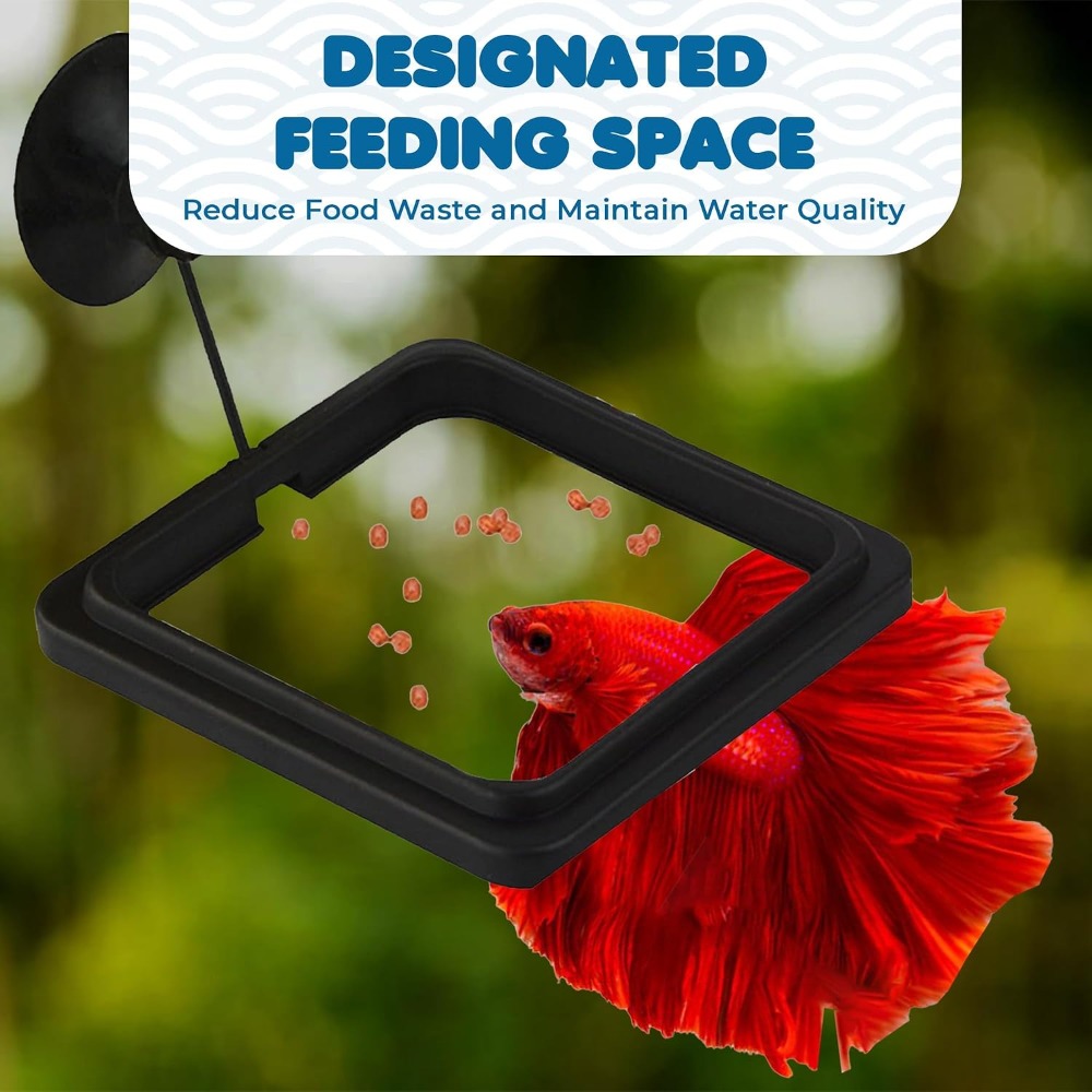 Fish Food Feeding Ring Aquariu - Tetra Fish In Aquarium recension och pris