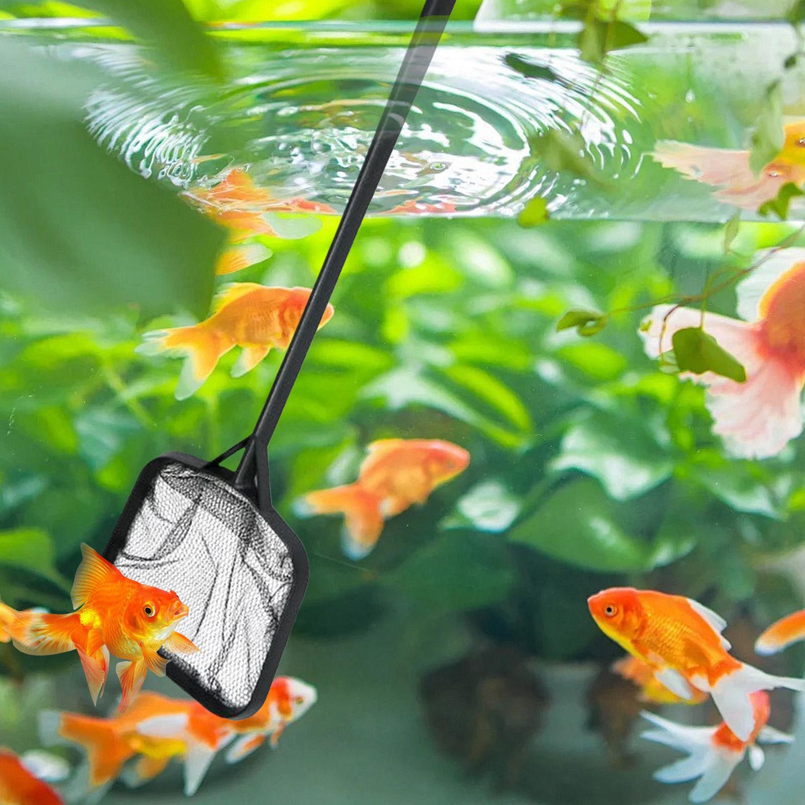 Pool Nets for Cleaning Portabl - Aquarium Fish To Buy recension och pris