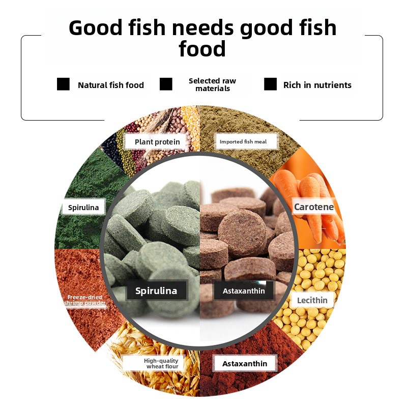 DaJiaWa Tropical Fish Feeding  - Tetra Fish In Aquarium recension och pris