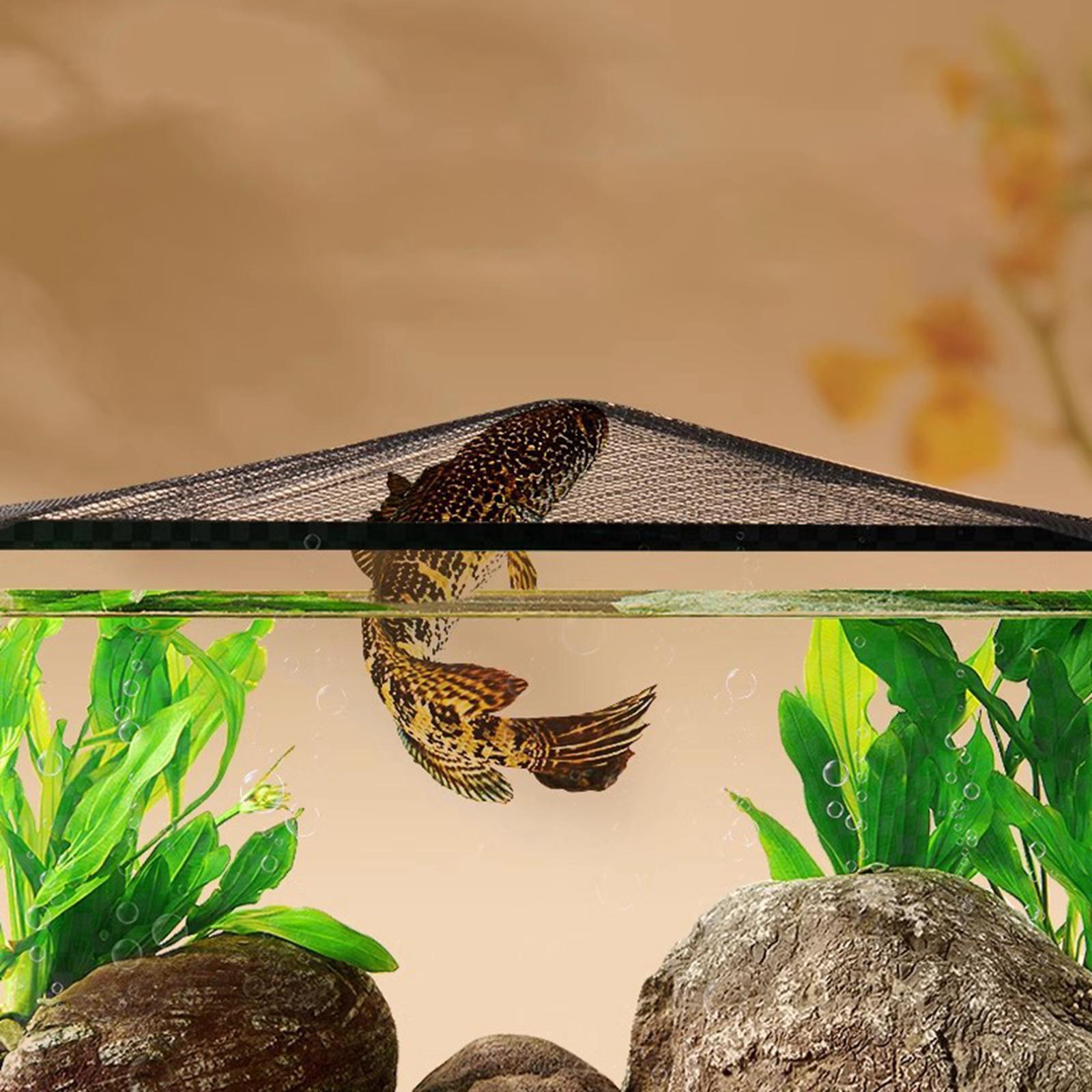 Aquarium Screen Top Cover Magn - Aquarium Fish Jump Guard recension och pris