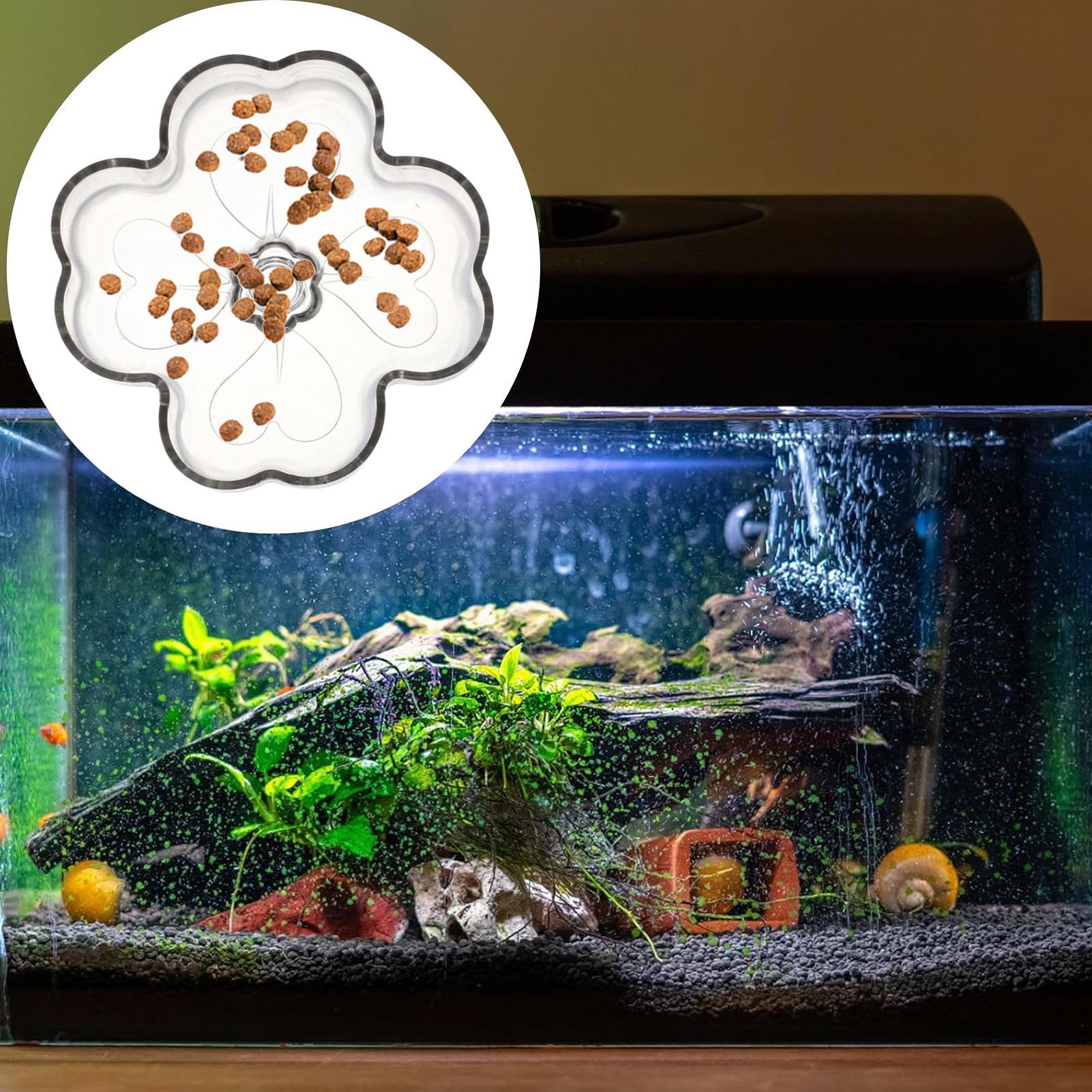 Aquarium Feeder Tray Suction C - Tetra Fish In Aquarium recension och pris