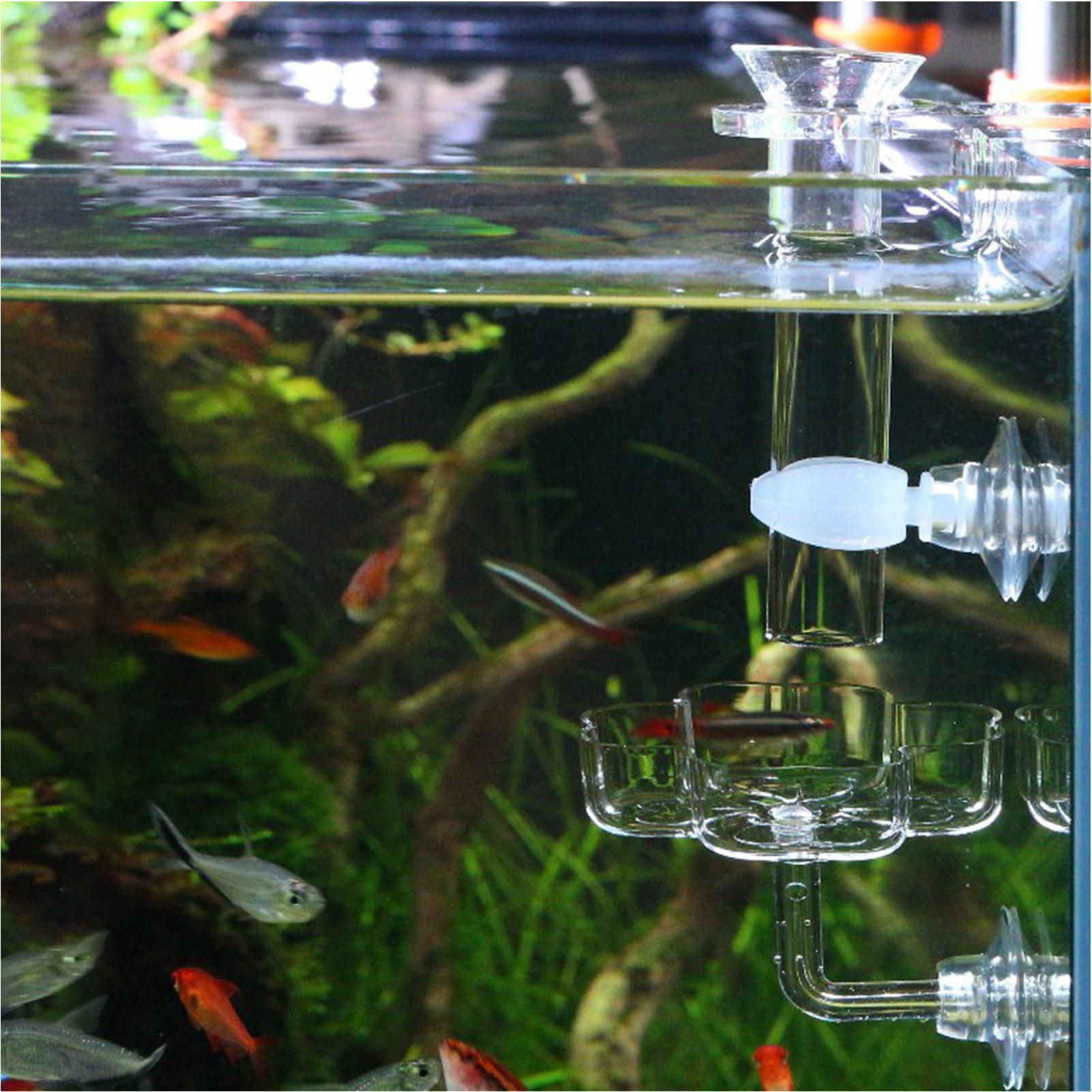 Aquarium Feeder Suction Cup Fl - Tetra Fish In Aquarium recension och pris