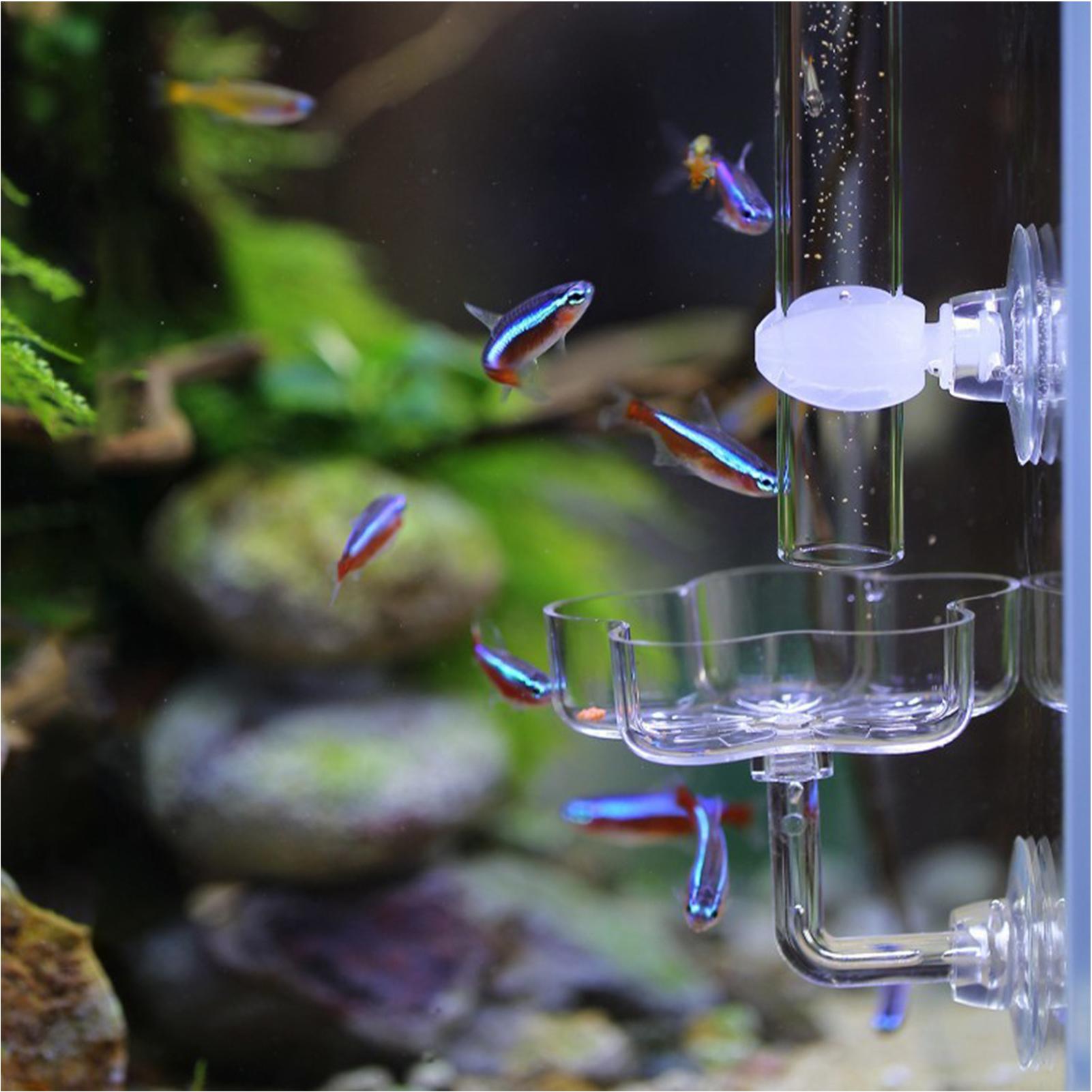 Aquarium Feeder Suction Cup Fl - Tetra Fish In Aquarium recension och pris