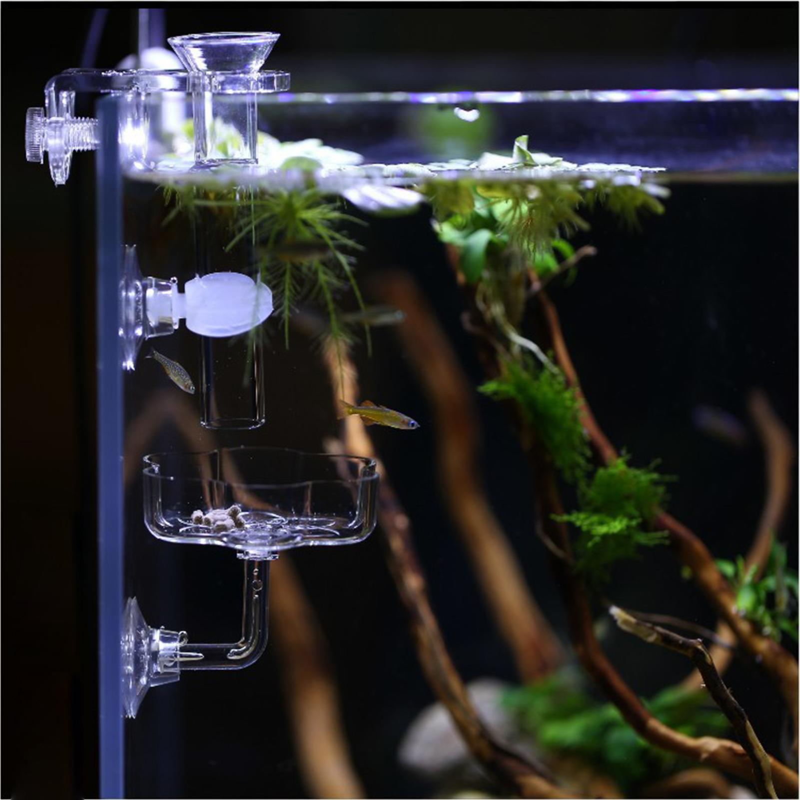 Aquarium Feeder Suction Cup Fl - Tetra Fish In Aquarium recension och pris
