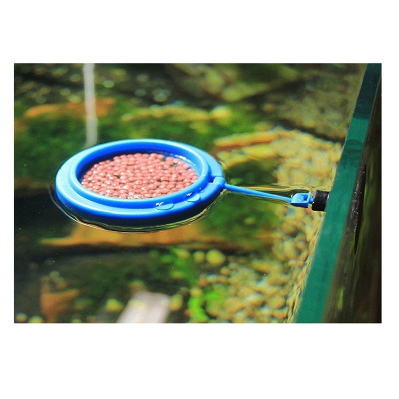 Fish Feeding Ring Feeder Fishi - Tetra Fish In Aquarium recension och pris