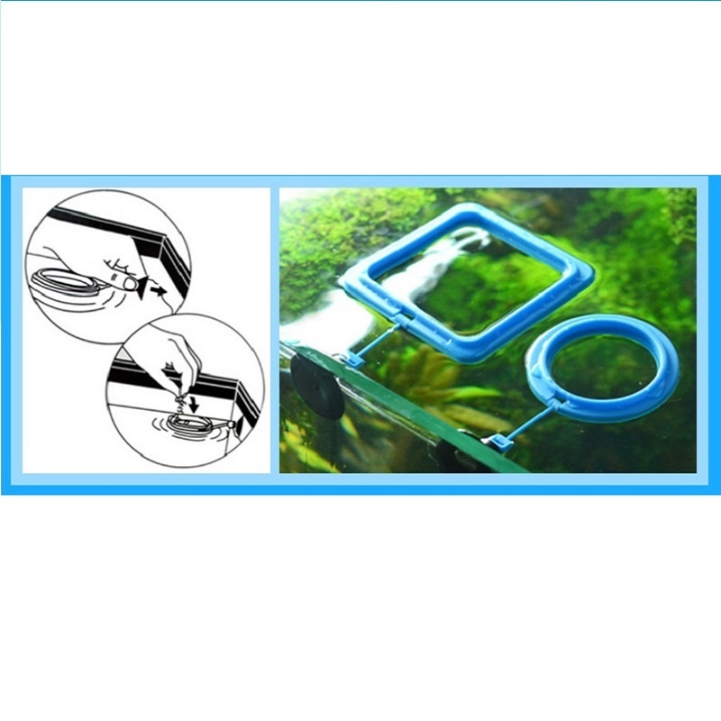 Fish Feeding Ring Feeder Fishi - Tetra Fish In Aquarium recension och pris
