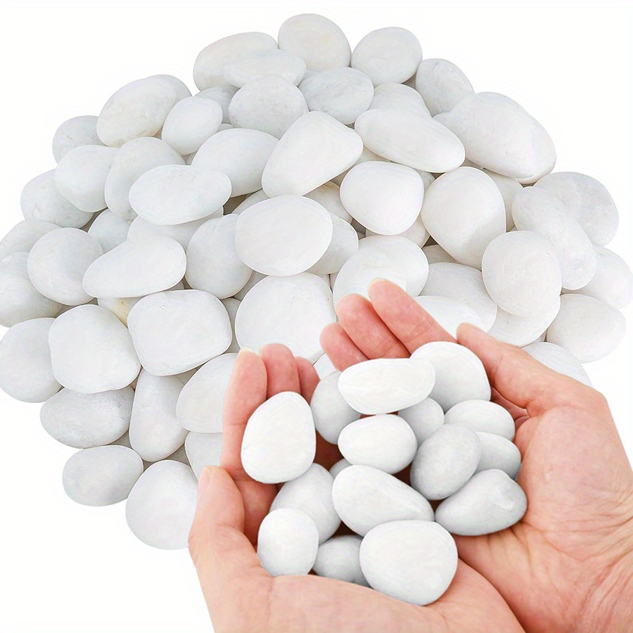 200/400g White High Polished N - Aquarium Fish To Buy recension och pris