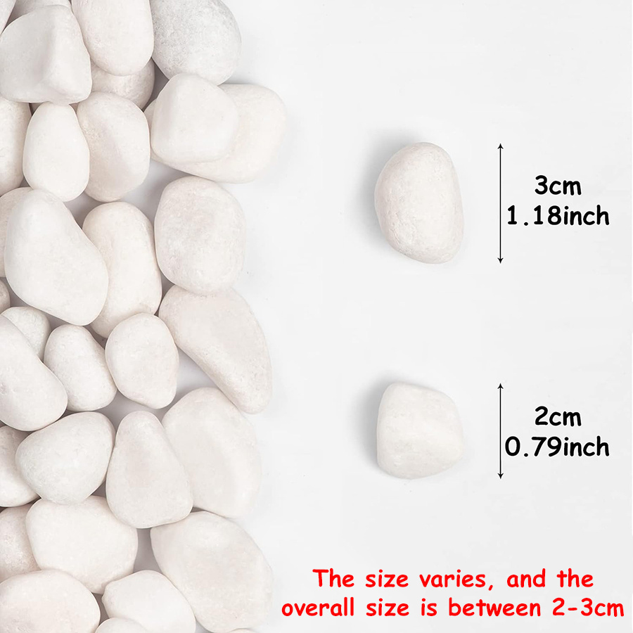 200/400g White High Polished N - Aquarium Fish To Buy recension och pris