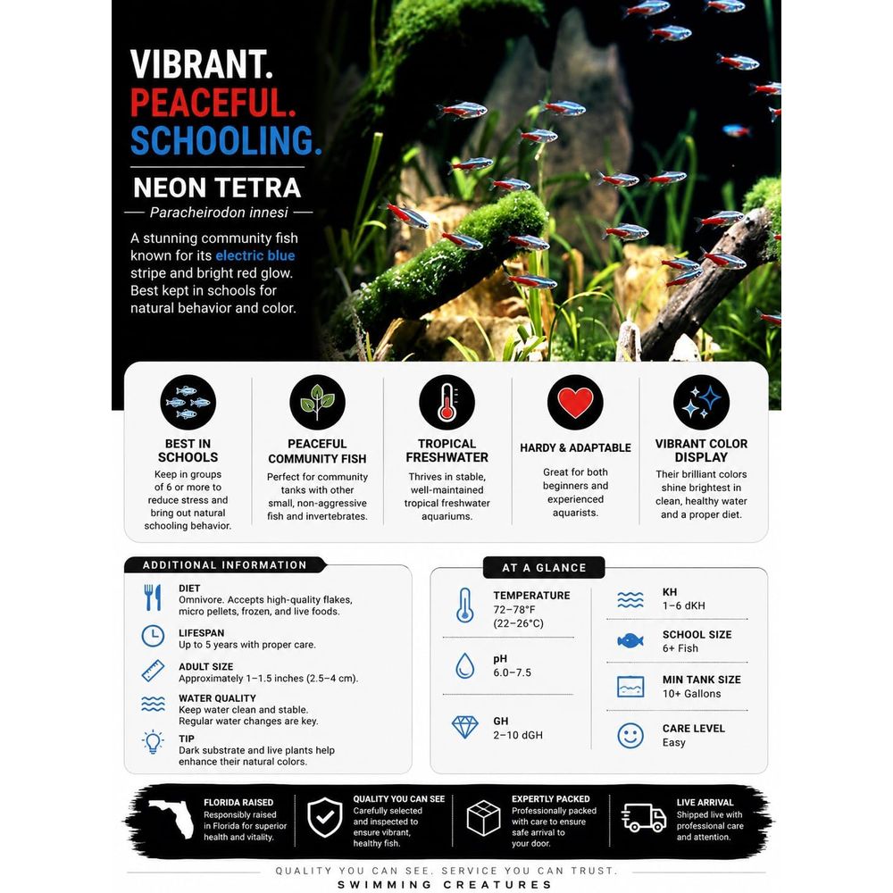 Freshwater Neon Tetra Fish (Si - Tetra Fish In Aquarium recension och pris