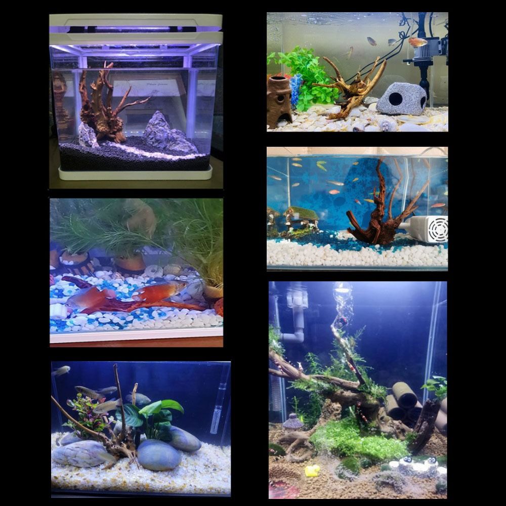 20-25CM Large Aquarium Driftwo - Aquarium Fish To Buy recension och pris