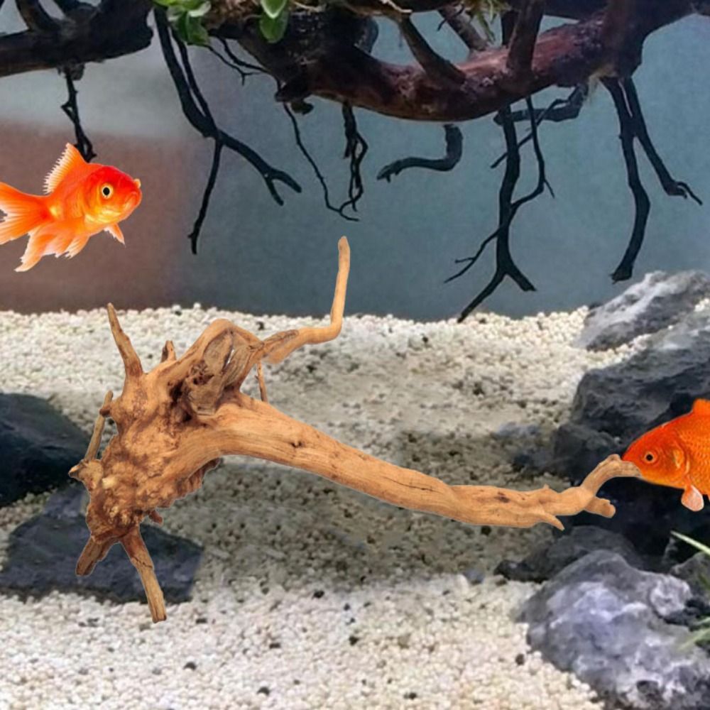 20-25CM Large Aquarium Driftwo - Aquarium Fish To Buy recension och pris