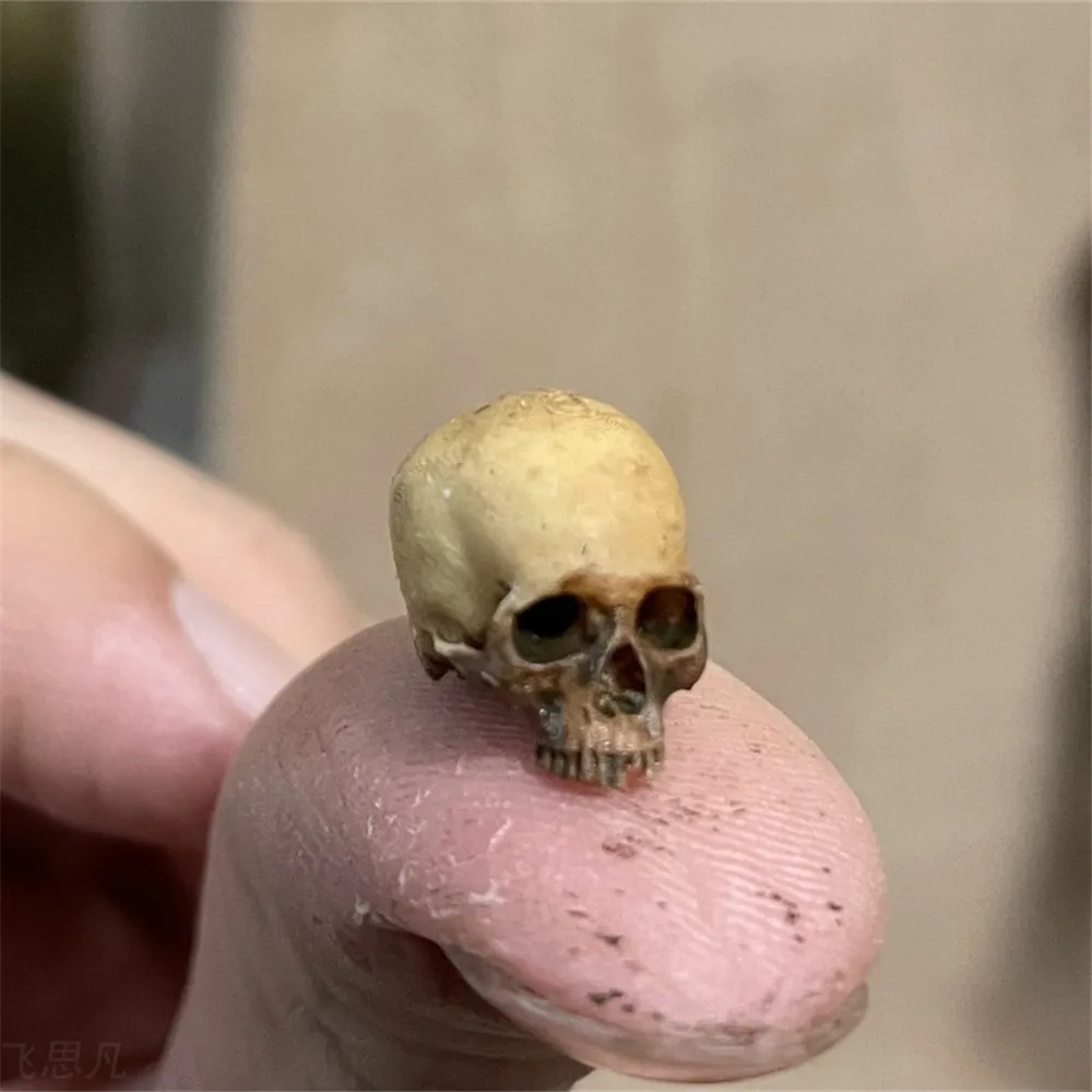 Mini Skull High Quality Miniat - Aquarium Fish To Buy recension och pris