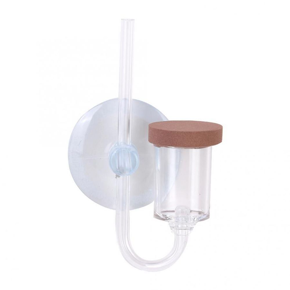 Acrylic Mini Fish Tank Live Pl - Aquarium Fish To Buy recension och pris