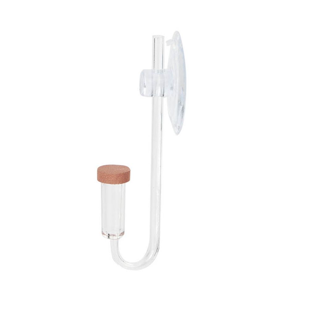 Acrylic Mini Fish Tank Live Pl - Aquarium Fish To Buy recension och pris